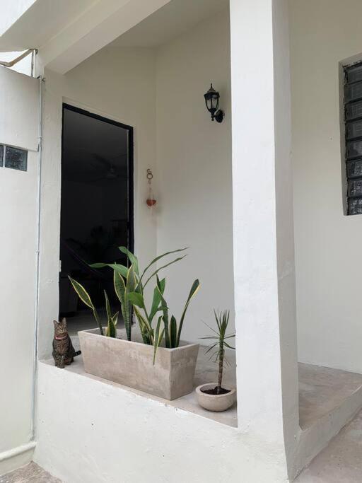 Villa Private Full House With Pool And Cozy Patio Valladolid  Exterior foto